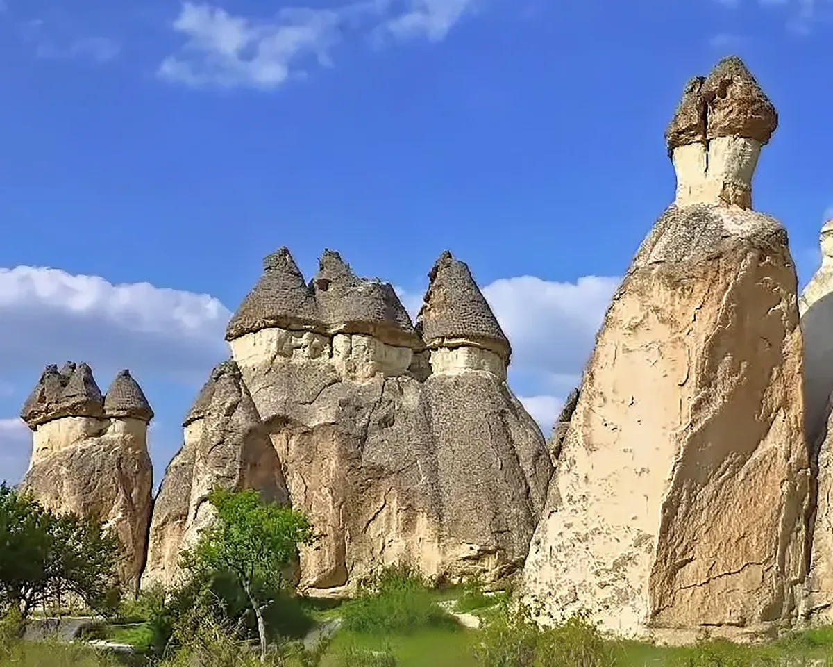 Peri Bacaların Oluşumu